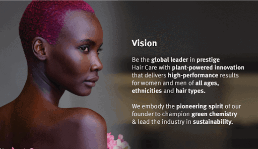 aveda-vision